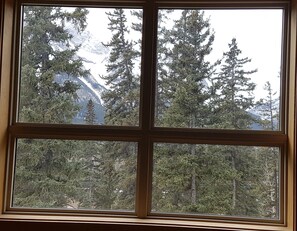 Interior - Spacious 3 BR Top Floor Condo - Kitchen, Mountain View Balcony, Fireplace & Pool (Canmore)