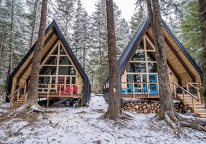 Two wooden cabins with large windows, surrounded by trees and snow. - Salted Roots Red Door A-Frame Cabin (Seward)