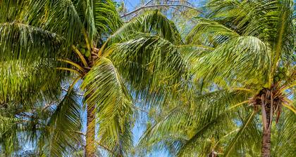 White Sands 11-Beachfront Condo directly on 7 Mile Beach. Call Cayman Villas!