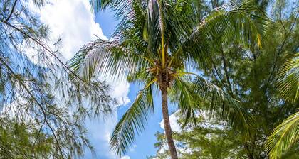 White Sands # 11: 1 BR / 1 BA Eigentumswohnung in Seven Mile Beach, 4 Personen