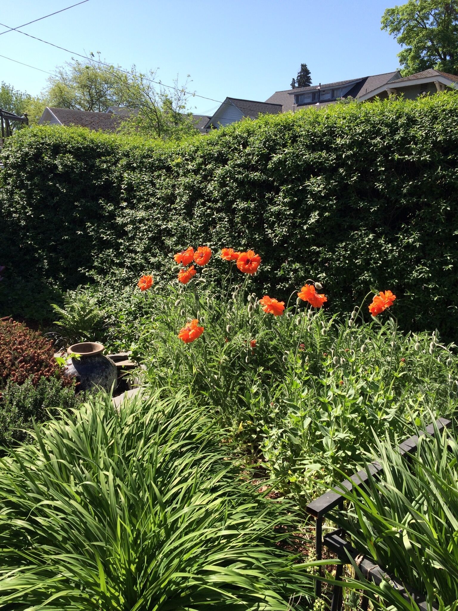Beautifully maintained 