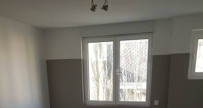 T4 centre LOURDES et proche sanctuaires