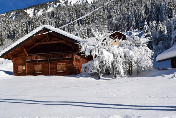 A wooden cabin with a snow-covered roof and a mountain backdrop.