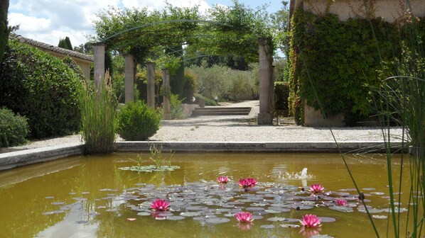 المنطقة المحيطة بالمنشأة