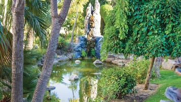 Terrein van de accommodatie