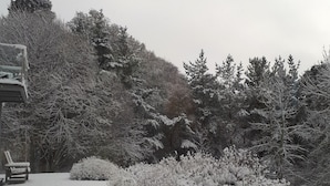 Ein mit Schnee bedeckter Garten mit einer Bank und einem Strauch.