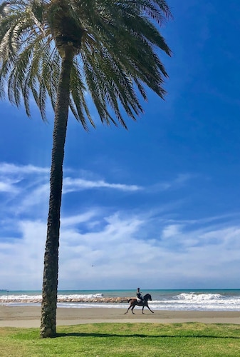 Ronnies Beach House, nice 2 bedroom house with a big rooftop with great seaview