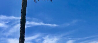 Ronnies Beach House, nice 2 bedroom house with a big rooftop with great seaview