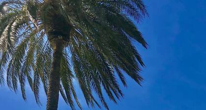 Ronnies Beach House, nice 2 bedroom house with a big rooftop with great seaview