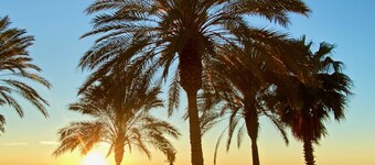 Ronnies Beach House, fint 2-roms hus med stort tak med flott havutsikt