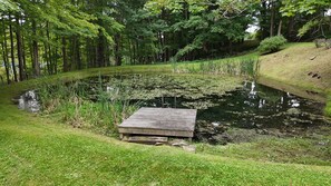 A pond with a wooden dock, surrounded by lush greenery and tall trees.