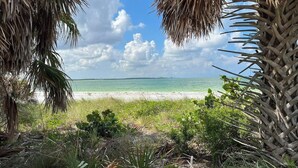 Une plage à l’eau turquoise et limpide, un rivage sablonneux et des palmiers qui encadrent le paysage.