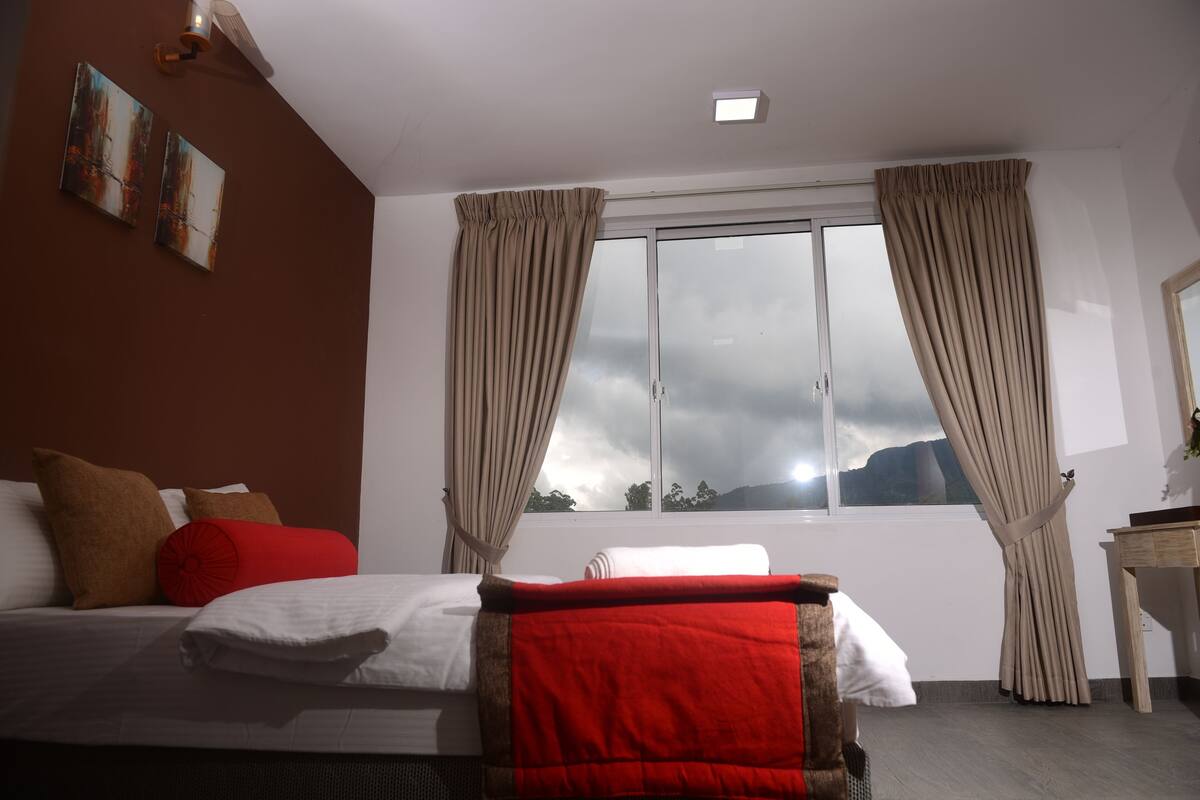 Deluxe Double or Twin Room | Desk, laptop workspace, soundproofing, iron/ironing board (on request)