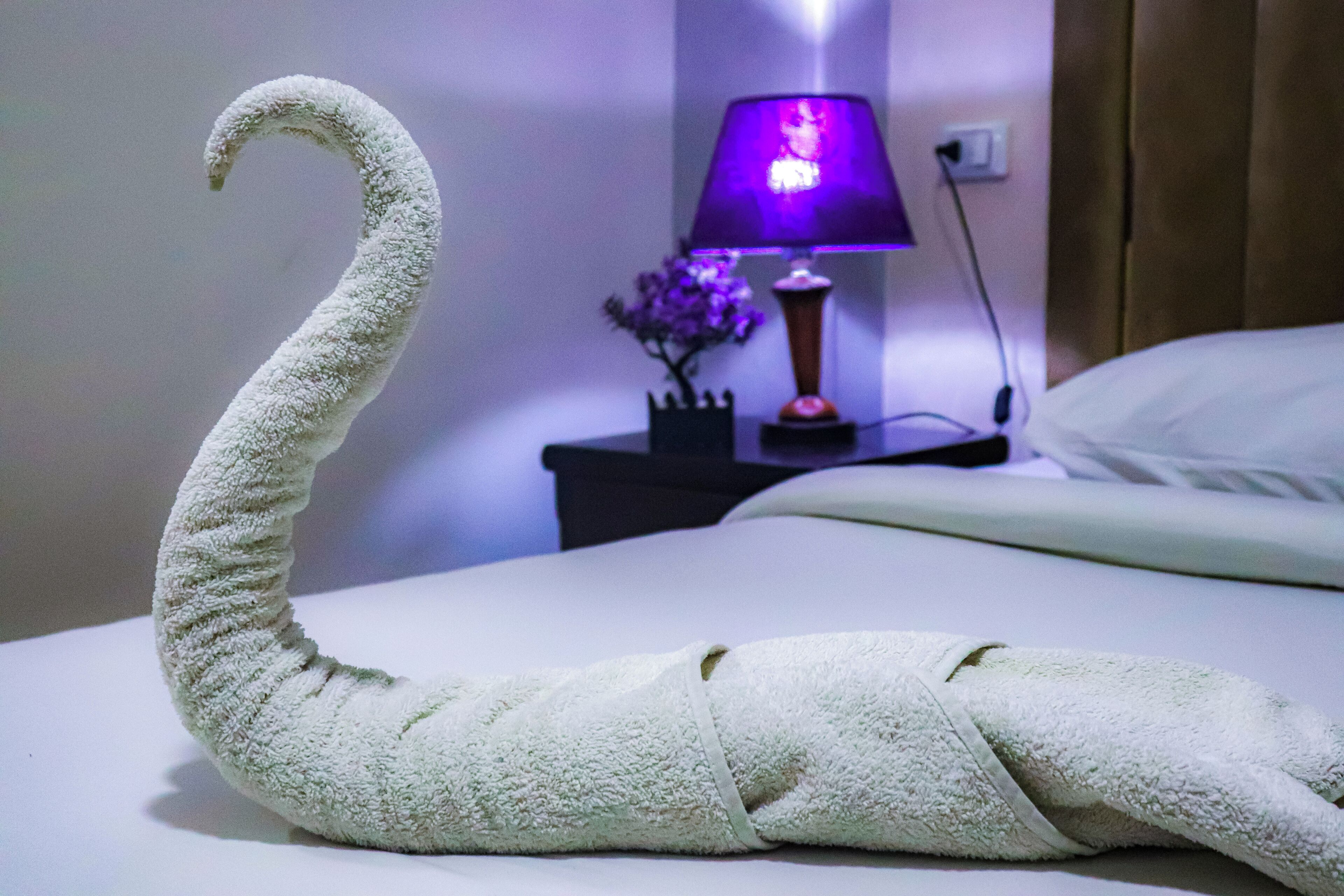 Photo - Golden Pyramids Inn