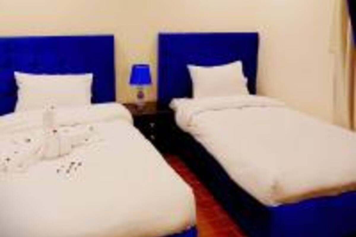 Roupas de cama de algodão egípcio, roupas de cama premium