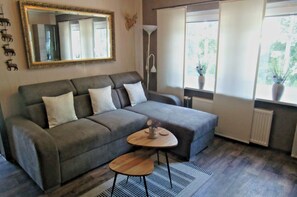 TV, fireplace, DVD player, books