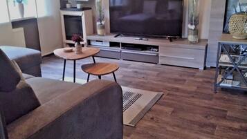 TV, DVD player, books, music library