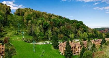 Neu renovierte Ski-In / Out-Wohnung Holiday Valley