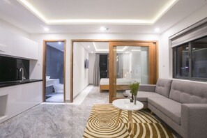 Deluxe Double Room, Balcony, City View | Living area | 29-inch flat-screen TV with cable channels, TV