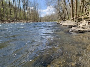 Beach - Historic Charm, Modern Comfort (Ellicott City)