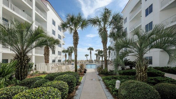 A pathway leading to a pool surrounded by palm trees and well-maintained greenery.