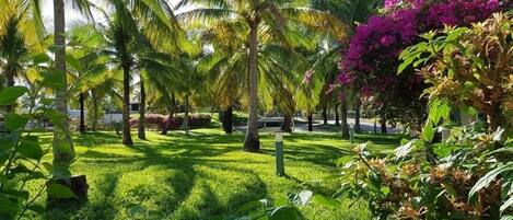 Área da propriedade