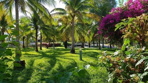 Property grounds - Biệt thự Mũi Né - Sea Villa C - Resort Villa Muine Domaine (Phan Thiết)