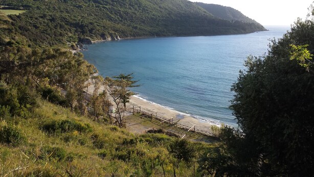 Eine Küstenlandschaft mit Strand, bewaldeten Hügeln und freiem Blick auf das Meer.