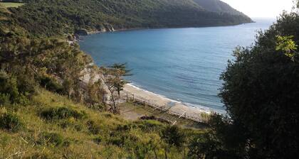 THE ATTIC ROOM - privates Penthouse