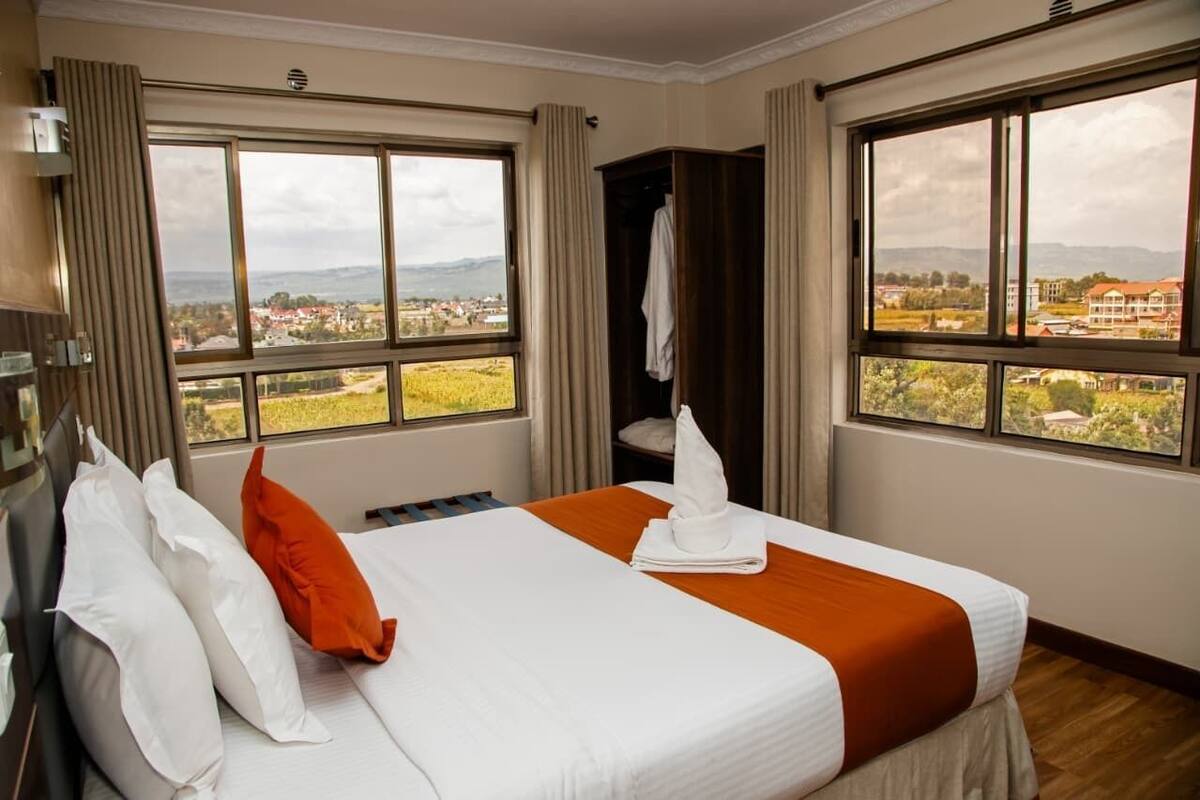 A hotel room with a large bed, two windows, a wardrobe, and a view of a town and mountains.