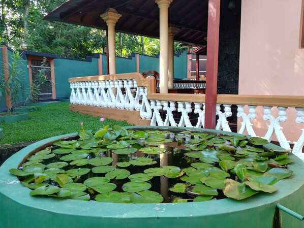 Jardines del alojamiento