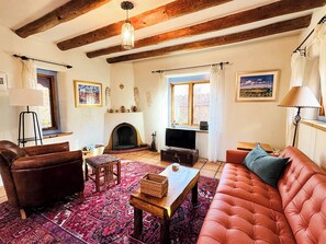 Televisión, chimenea, Netflix y libros 