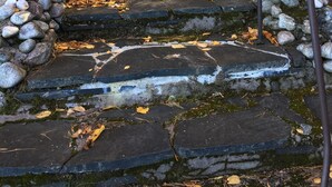 Eine steinerne Treppe mit Metallgeländern, umgeben von Felsen und Herbstlaub.