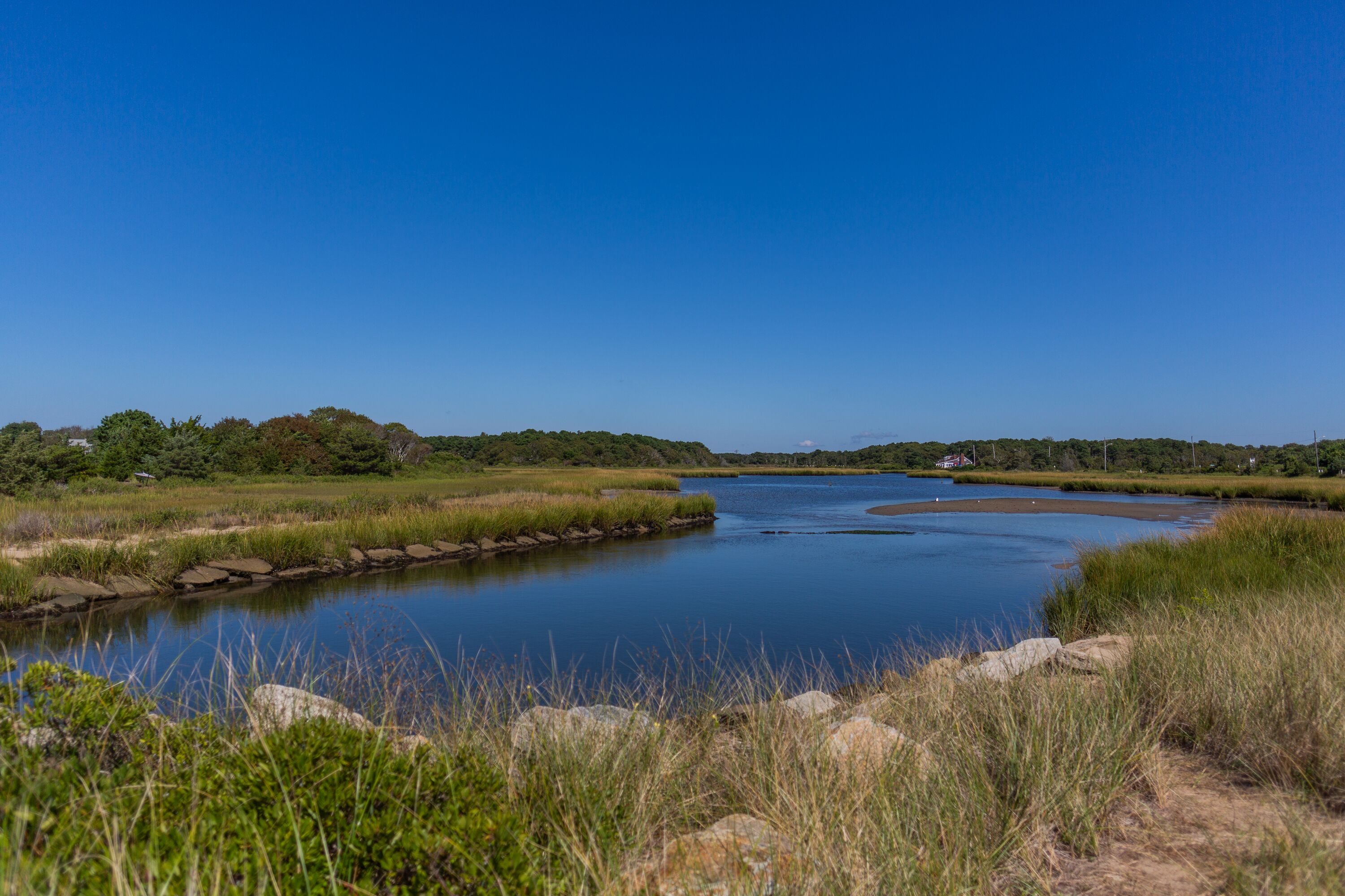 Ein ruhiger Fluss mit grünen Ufern und Bäumen im Hintergrund.
