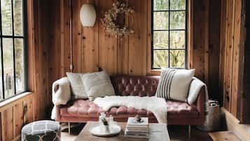 TV, fireplace, books, stereo