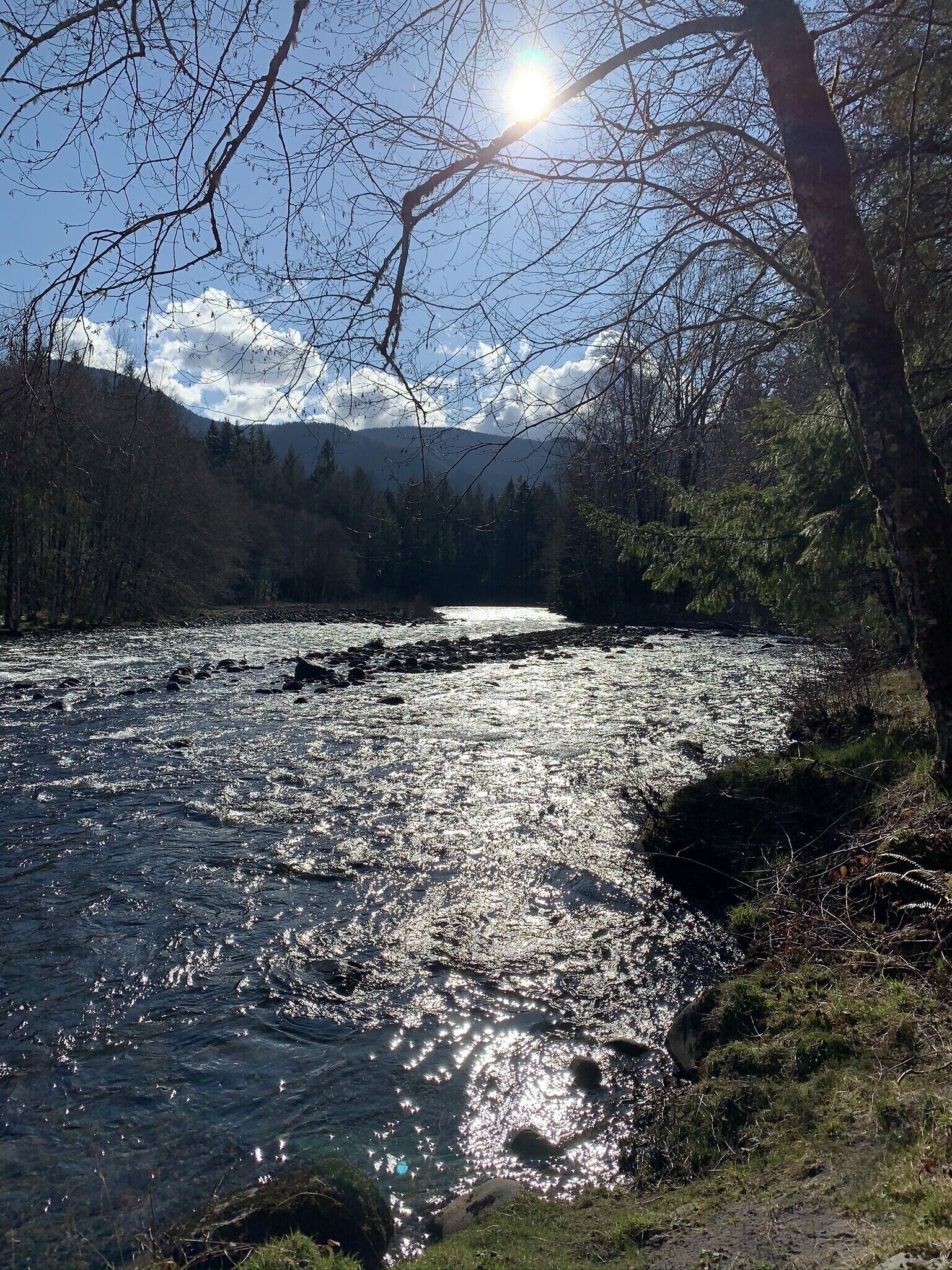 Un río con reflejos de luz solar en el agua, rodeado de árboles y montañas al fondo.