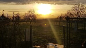 Ein eingezäuntes Feld mit Blick auf den Sonnenuntergang.