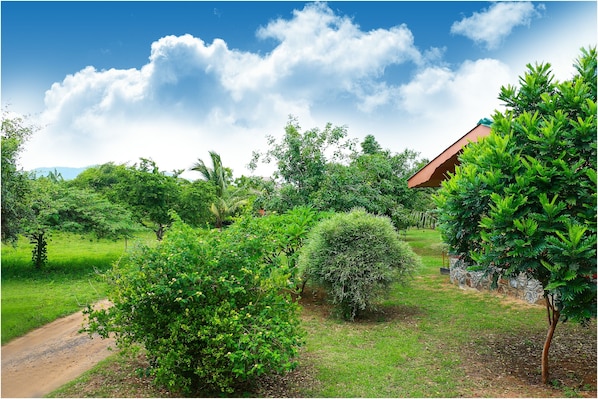 Vue sur le jardin