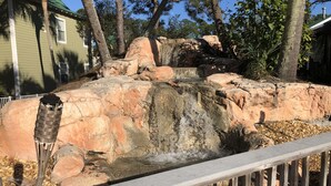 A rock formation with a small waterfall, surrounded by trees and a metal fence.