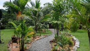 Un sendero en un jardín con diversas plantas tropicales y un camino de grava.