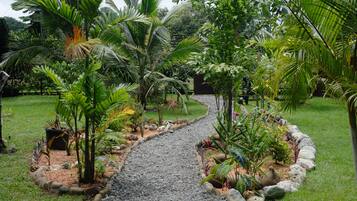 Área da propriedade