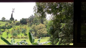 Vista a través de una ventana de un jardín exuberante con diversos árboles y una colina cubierta de césped.