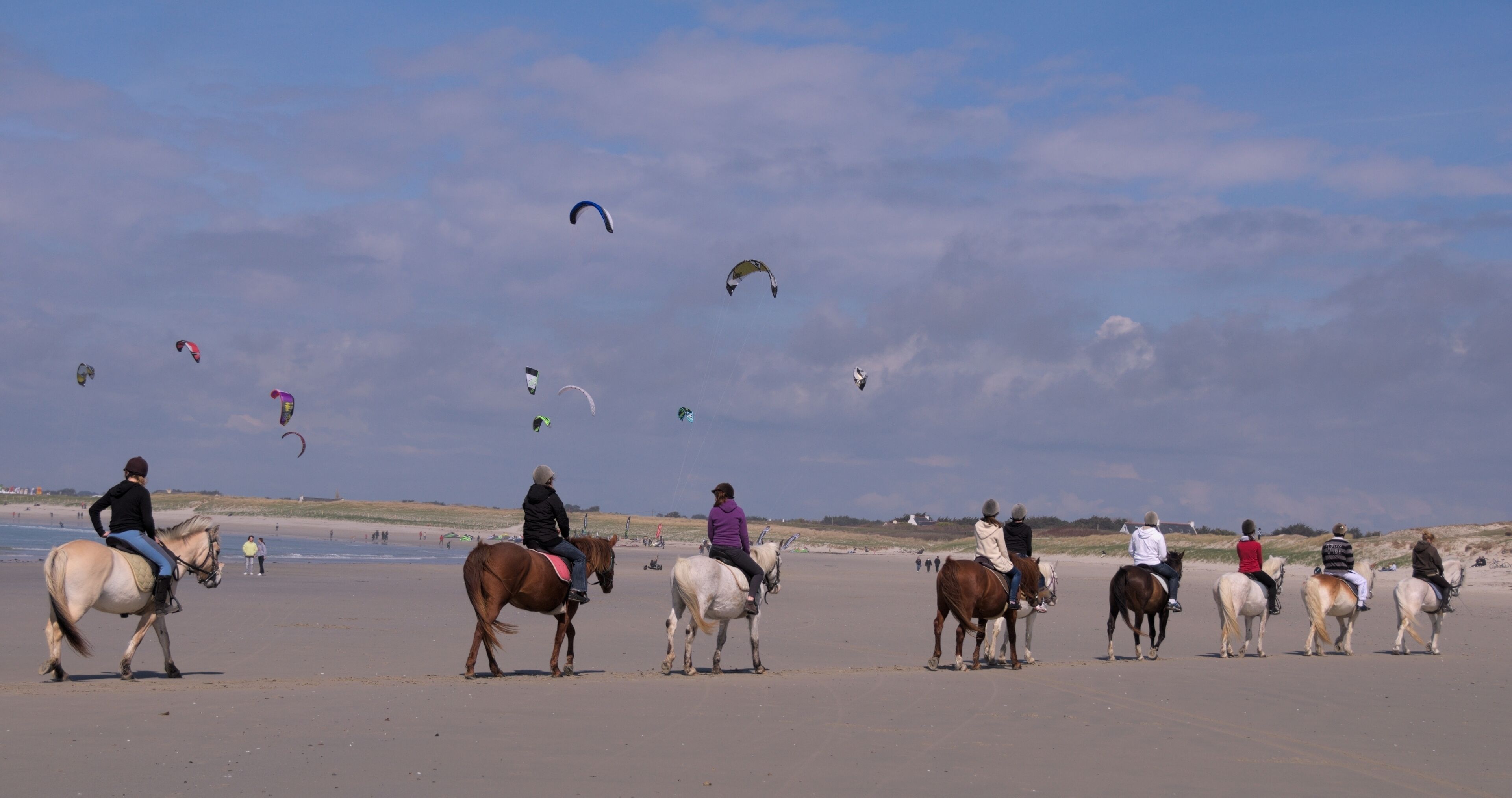Une plage où l’on peut voir des chevaux et des cavaliers, et des cerfs-volants dans le ciel.