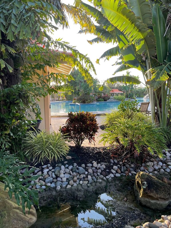 A tropical garden with a swimming pool, surrounded by various plants and rocks. - Resort-style condo - close to great beaches and downtown Naples. (Naples)
