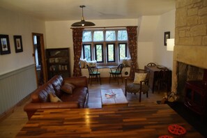 TV, fireplace, DVD player, books