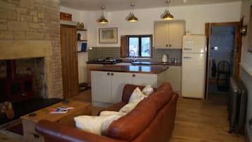 Una televisión, una chimenea, un reproductor de DVD, libros