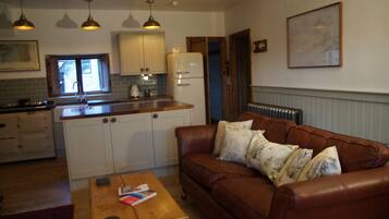 Una televisión, una chimenea, un reproductor de DVD, libros