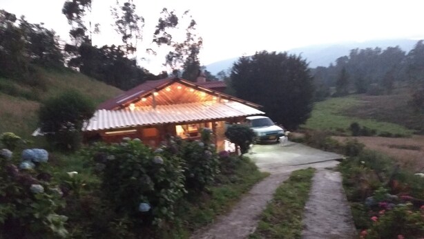 A rustic house with a metal roof, surrounded by lush greenery and a gravel path leading to the entrance.