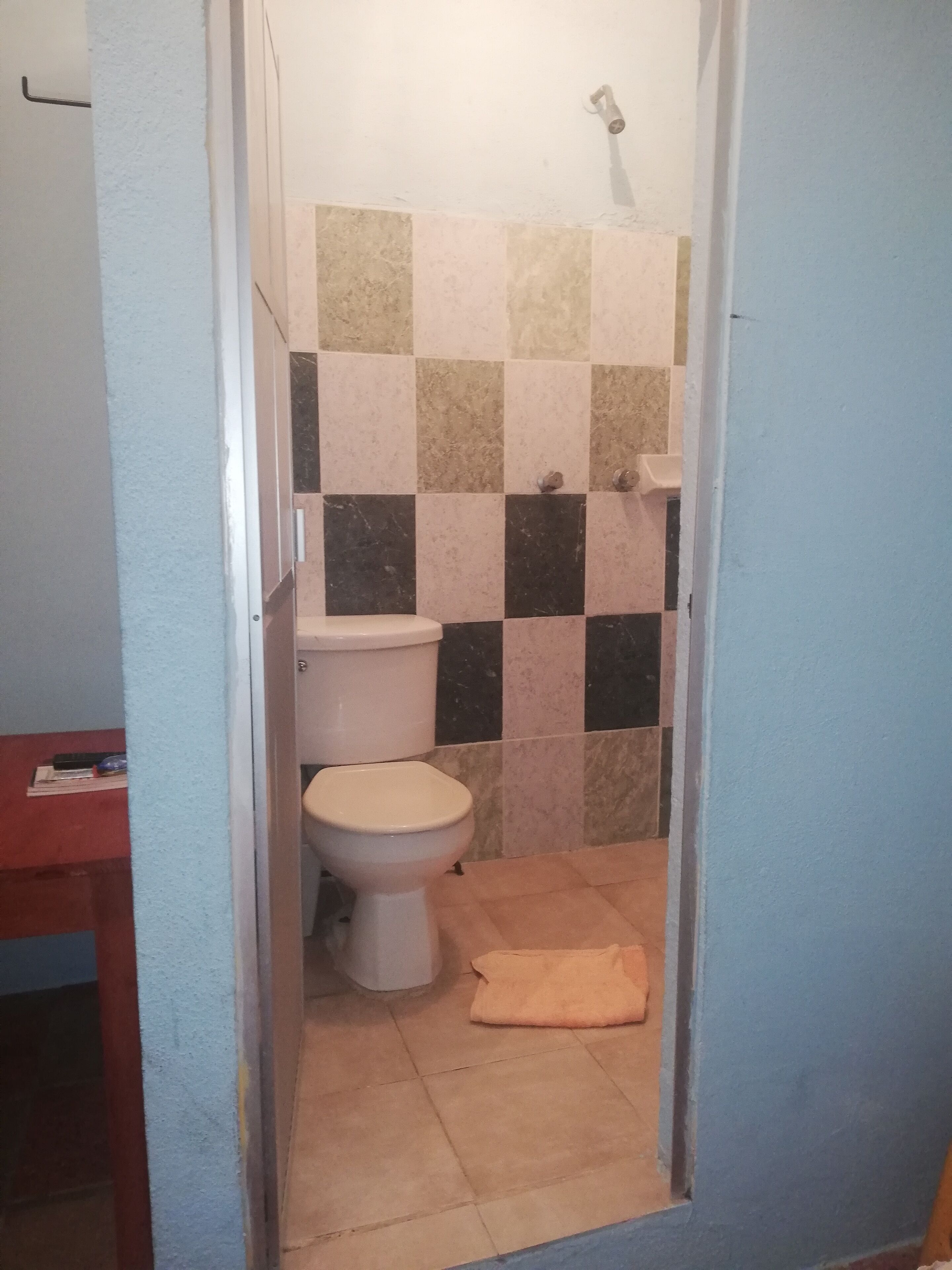 Un baño con inodoro, ducha y pared con azulejos.