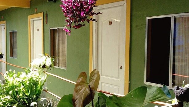 A balcony with potted plants, a hanging flower arrangement, and a door with a window.